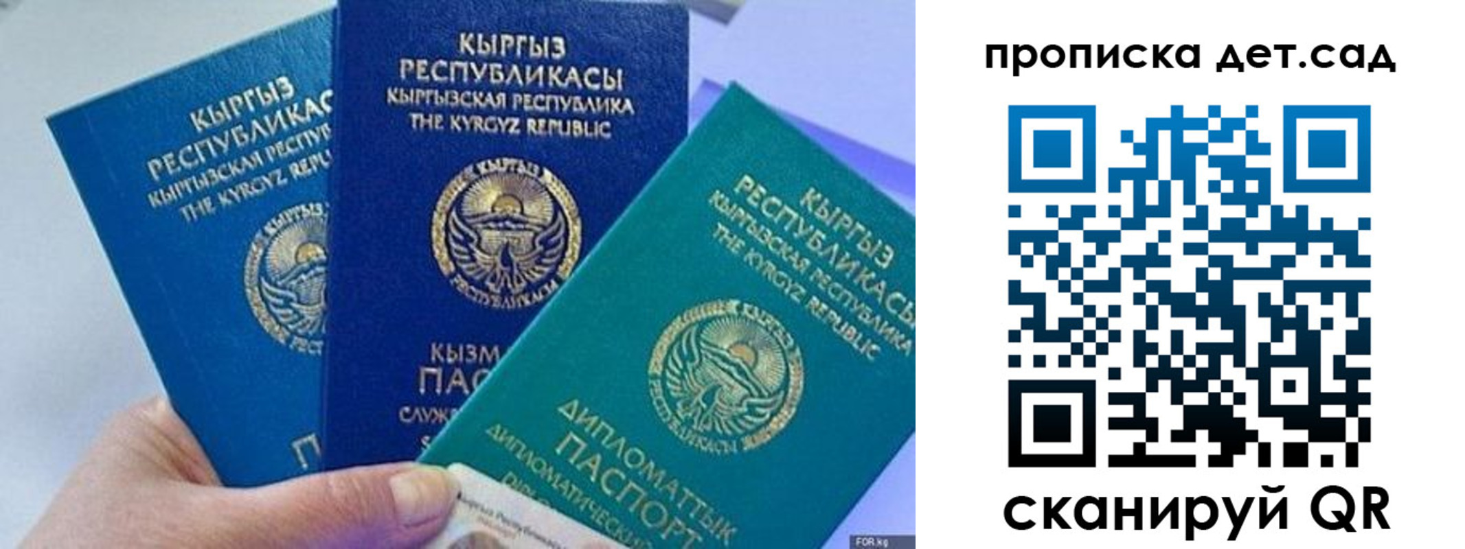 где прописаться в Гороховце